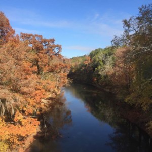 Chickasawhay River in the Fall
